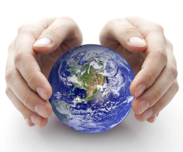 Entreprise de transport écologique