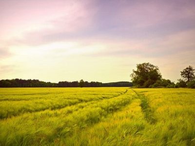 Livraison écologique