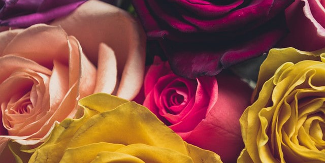 Livraison fleurs express