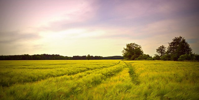 Livraison écologique